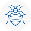 Bed Bug Extermination In Henlow