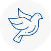 Bird Prevention Henlow