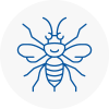 Henlow Hornet Nest Removals