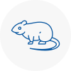 Rat Control Henlow