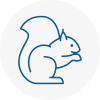 Henlow Rodent Removals