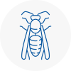 Henlow Wasp Nest Removal